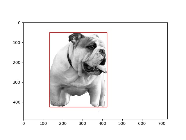 A grayed out image of a bull dog with a red bounding box around it.